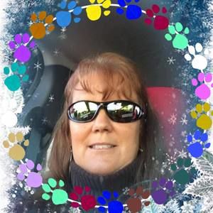 Meet your Posher, Kandi